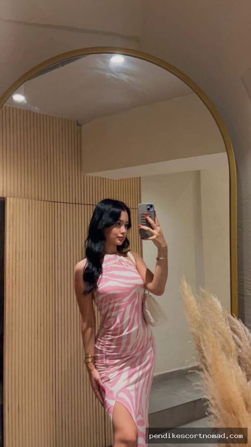 Nisa ile Pendik arabada görüşen escort